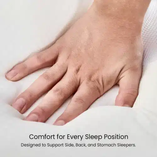 Ornatera Pillow (official Retailer) 2025